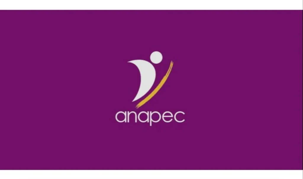 Le marché de l’emploi Anapec au Maroc en 2025