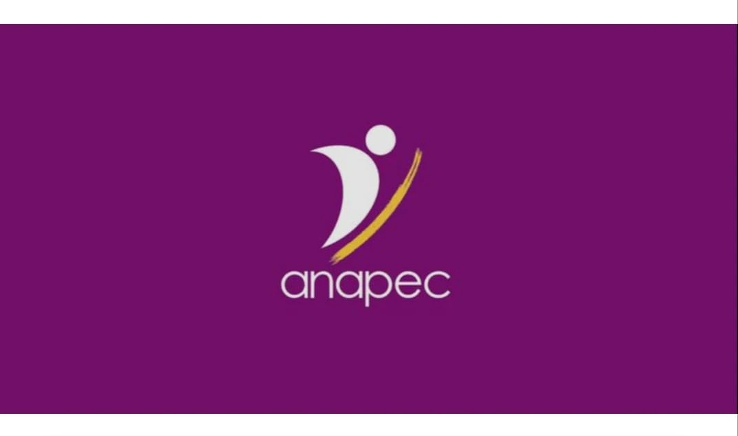 Le marché de l’emploi Anapec au Maroc en 2025