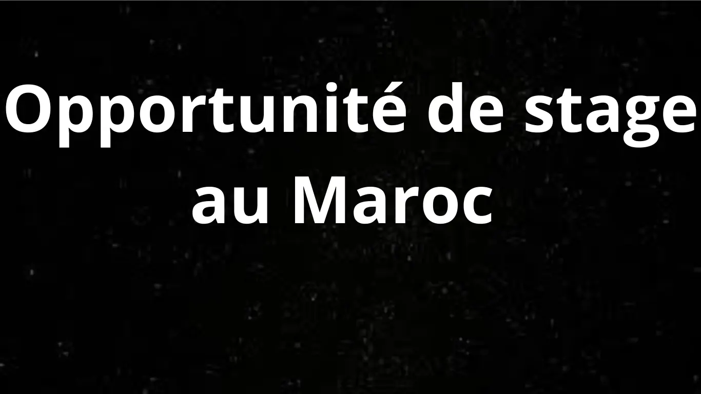 Opportunité de stage au Maroc : Offres de stages pour étudiants et jeunes diplômés à Mohammedia, Kénitra et Tanger