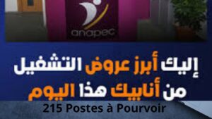 Offres d’Emploi Anapec 2026 : 215 Postes à Pourvoir