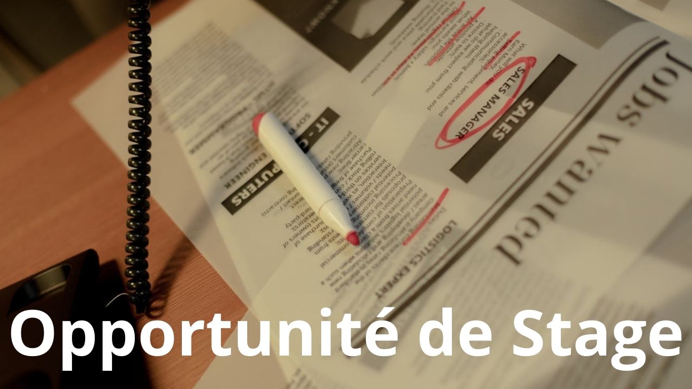 Opportunité de Stage au Maroc 2026 : RH, Logistique, Import-Export, IT & Recrutement