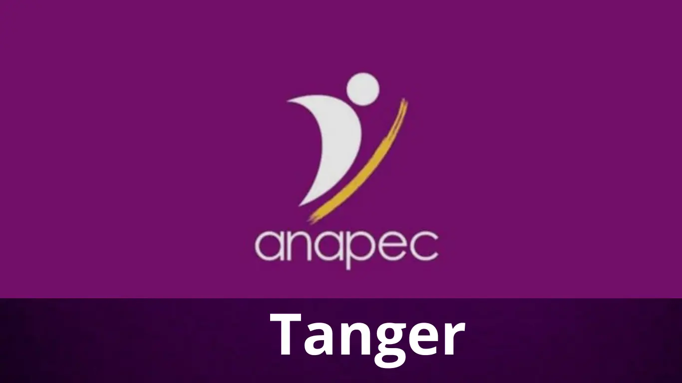 Offres d’Emploi à Tanger-Assilah via Anapec Tanger - 2026