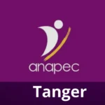 Offre d’Emploi Anapec Tanger : Chauffeur Manutentionnaire / Contrôleur à Tanger-Fahs-Anjra